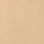 American Crafts - Cardstock - Linen Weave - 12 X 12 - Latte